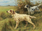 1304457067_two-english-setters-on-point