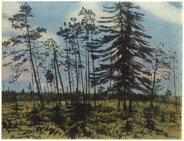 finland-with-a-blue-sky-1910.jpg